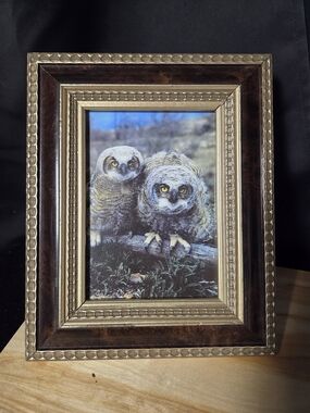 Gold and Brown Ornate Picture Frame with Owl Art - Home Accents